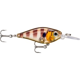 X-LIGHT SHAD