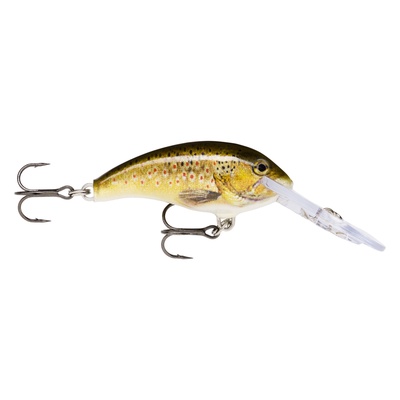 Shad Dancer 5cm TRL