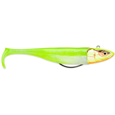 Biscay Shad 17cm 87g CHCH