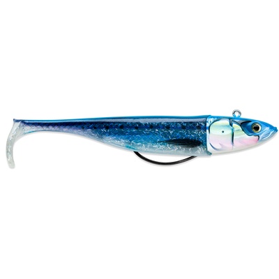 Biscay Shad 17cm 107g BIW