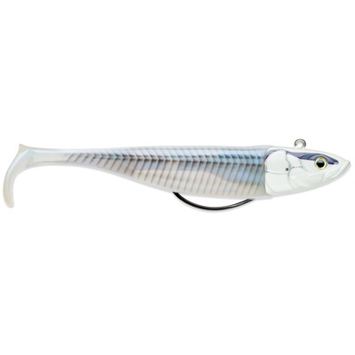 Biscay Shad 17cm 107g WPRLS