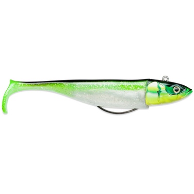 Biscay Shad 17cm 139g CGR